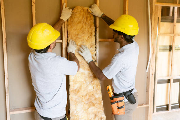 Eco-Friendly Insulation Solutions in Five Points, OH